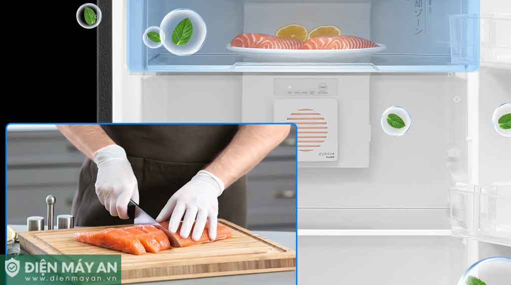 Tủ Lạnh Toshiba Inverter 182 Lít GR-RT236WE PMV(68)